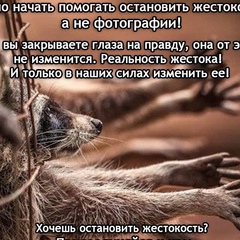 Ирина Камаева, 37 лет, Елабуга
