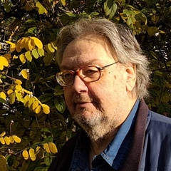 Дмитрий Туманов, Казань