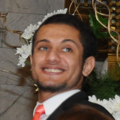 Ahmed El-Qasy, 34 года, Cairo