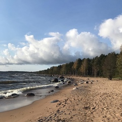 Юлия Галуша, 38 лет, Санкт-Петербург