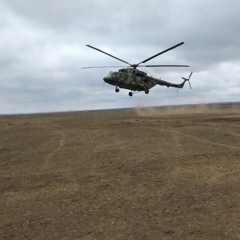 Николай Петрович, 83 года