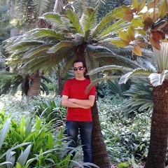 Abdou Dido, Alger