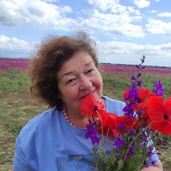 Любовь Немчикова, 65 лет, Санкт-Петербург