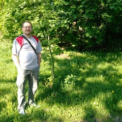 Владимир Соколов, 49 лет, Санкт-Петербург