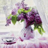 Фариза Костоева, Назрань