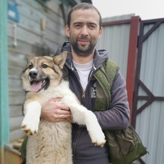 Михаил Волков, 41 год