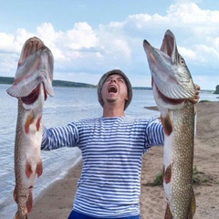Дмитрий Харин, 36 лет, Ижевск