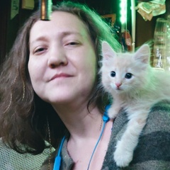 Виктория Заявлина, 38 лет, Москва
