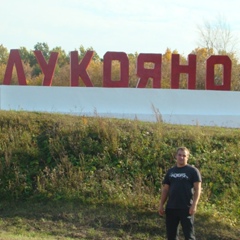 Денис Лукоянов, 38 лет, Москва