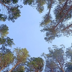 Лена Маслова, Томск