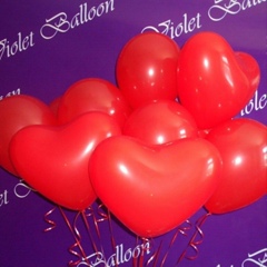 Violet Balloon, Актобе