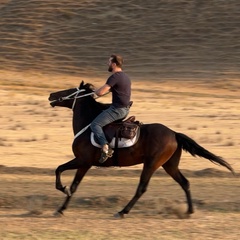 Yasin Mustapaev, Грозный