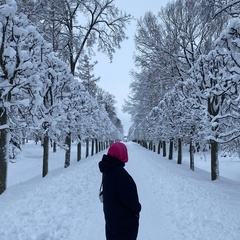 Ариша Катюшина, Санкт-Петербург