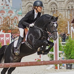 Елена Стулова, Санкт-Петербург