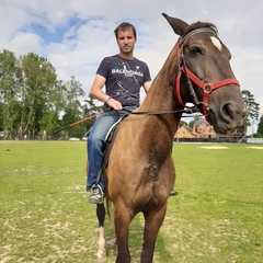 Дмитрий Соколов, 32 года, Москва