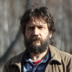 Иван Шихалев, 45 лет, Арти