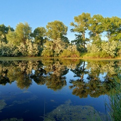 Юлия Шаворнаева, Новосибирск