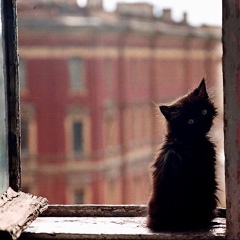 Таня Юнцевич, 37 лет, Москва