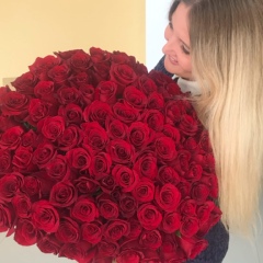 Екатерина Терехова, Белгород