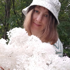 Алла Зайцева, Сыктывкар
