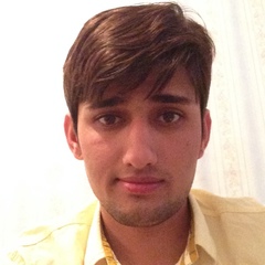 Sunil Vishnoi, 32 года, Бишкек
