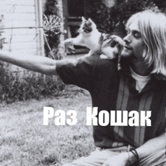 Раз Кошак, 34 года, Санкт-Петербург