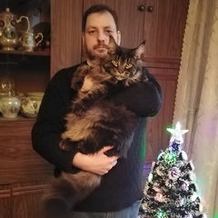 Александр Митрофанов, 44 года, Санкт-Петербург