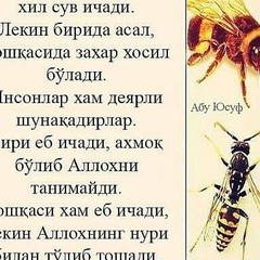 Улугбек Ахмадалиев, 35 лет, Москва