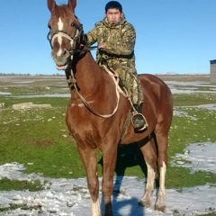 Баглан Саурбаев, 31 год, Ленгер