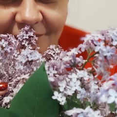 Наташа Шадий, 41 год, Шумск