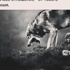 Рамзан Нохчо, 35 лет, Воронеж