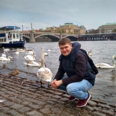 Анатолий Кургускин, 35 лет, Тольятти