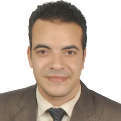 Mohamed Badawey, 33 года