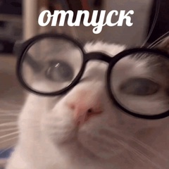 Дмитрий Синёв