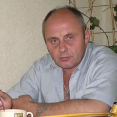 Александр Анисимов, 56 лет, Тольятти