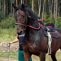 Нурали Хушбаков, Москва