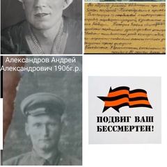 Алиса Мишка-Дроздова, Санкт-Петербург
