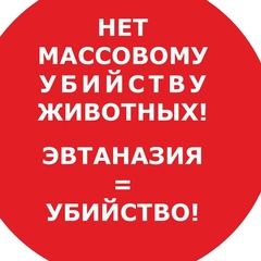 Ирина Горохова, 48 лет, Орёл