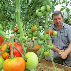 Валерий Медведев, 62 года, Шуя