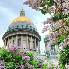 Ольга Митрошина