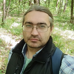 Сергей Рыбицкий, 38 лет, Белгород
