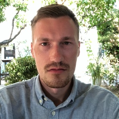 Артур Хортов, 35 лет, Тула