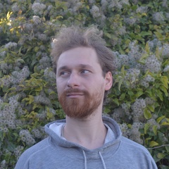 Сергей Тохтамыш, 36 лет, Симферополь