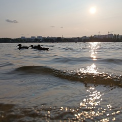 Юлия Сычёва, Харьков