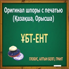 Шынгысхан Кодарбеков, 29 лет, Алматы