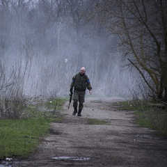 Роман Шарлуев, 36 лет, Ростов-на-Дону