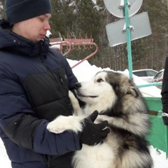 Евгений Мизев, 37 лет, Томск