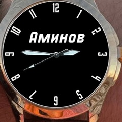 Элбек Аминов, Выборг