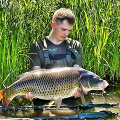 Александр Миронов, 32 года, Нижний Новгород