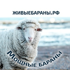 Камиль Морозов, Мытищи